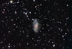 Filename=NGC2146-1011113-v110917.jpg
Filesize=456KiB
Dimensions=1065x720
Date added=Sep 17, 2011 NGC2146-1011113-v110917.jpg
