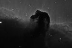 Horse-091114-Ha-F03-NR.jpg