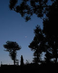 Filename=Moon-and-Venus-100515.jpg
Filesize=506KiB
Dimensions=1200x1500
Date added=May 26, 2010 Moon-and-Venus-100515.jpg