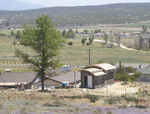 Filename=RF-Wide-Shot-090509.jpg
Filesize=148KiB
Dimensions=797x606
Date added=May 09, 2009 RF-Wide-Shot-090509.jpg